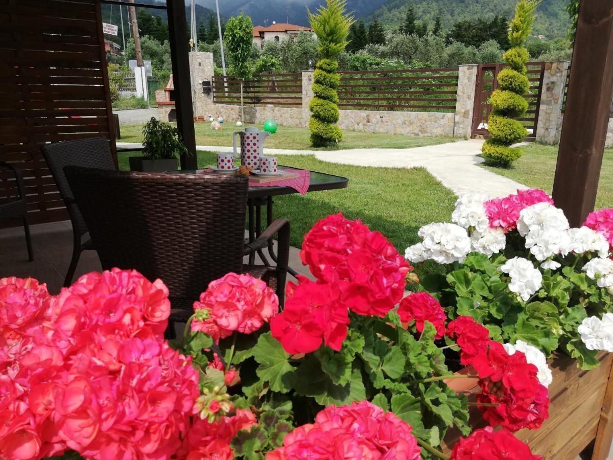 Aelia Studios Skala Potamia  Luaran gambar