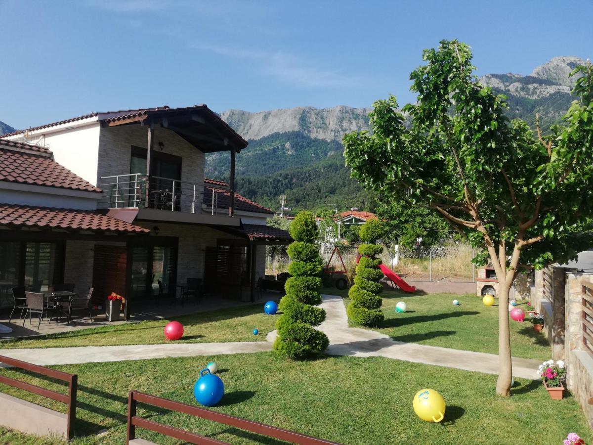 Aelia Studios Skala Potamia  Luaran gambar